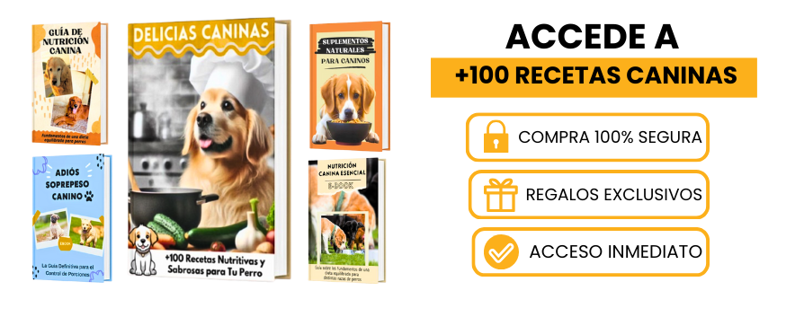 Pack digital con recetas saludables y bonos para perros