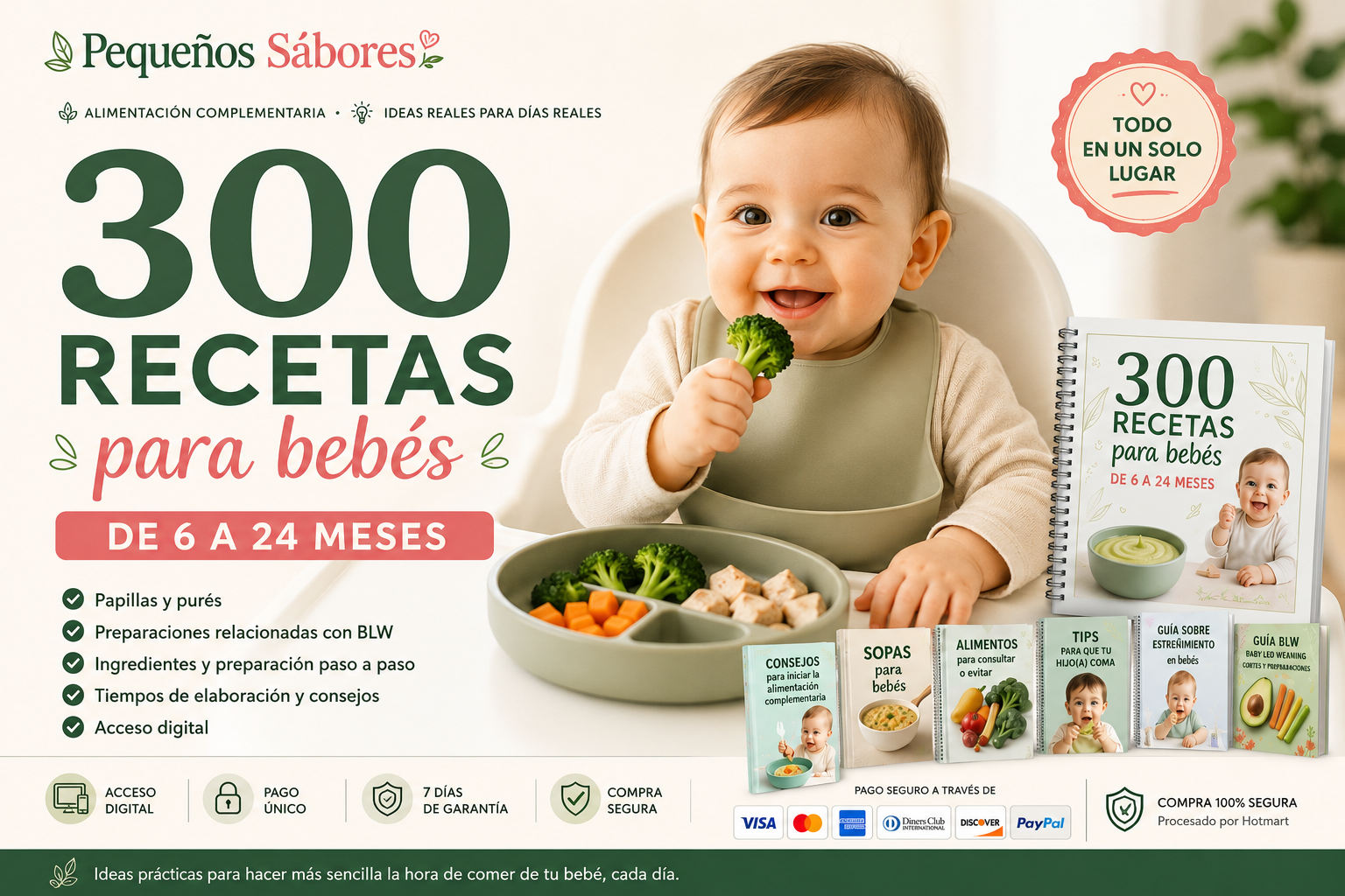 300 Recetas para Bebés de 6 a 24 meses